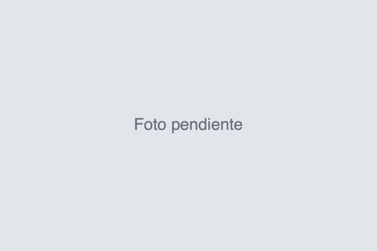 Foto pendiente